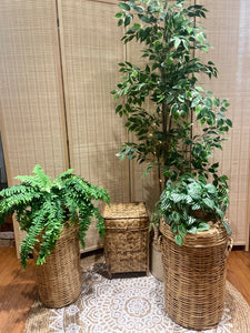 Event decor rentals- Medium sized artificial plants